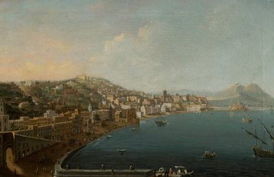 Naples with Vesuvius by Pietro Antoniani